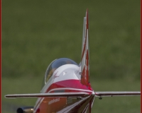 TSR Watermark - 0078